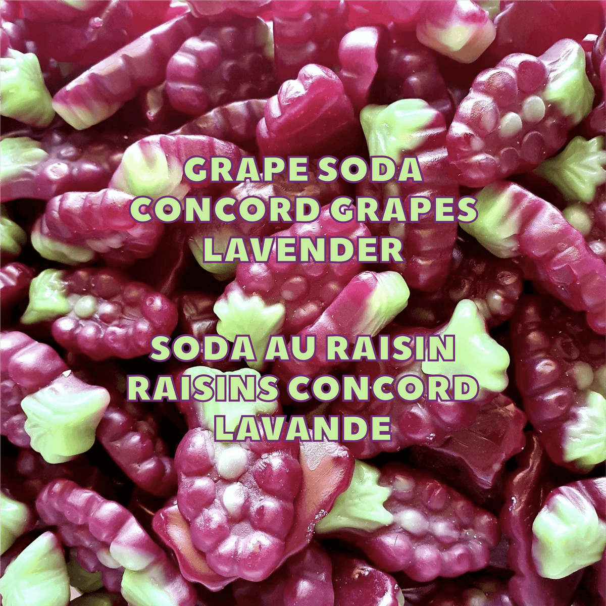 LỘC RỪNG RAISIN 🍇