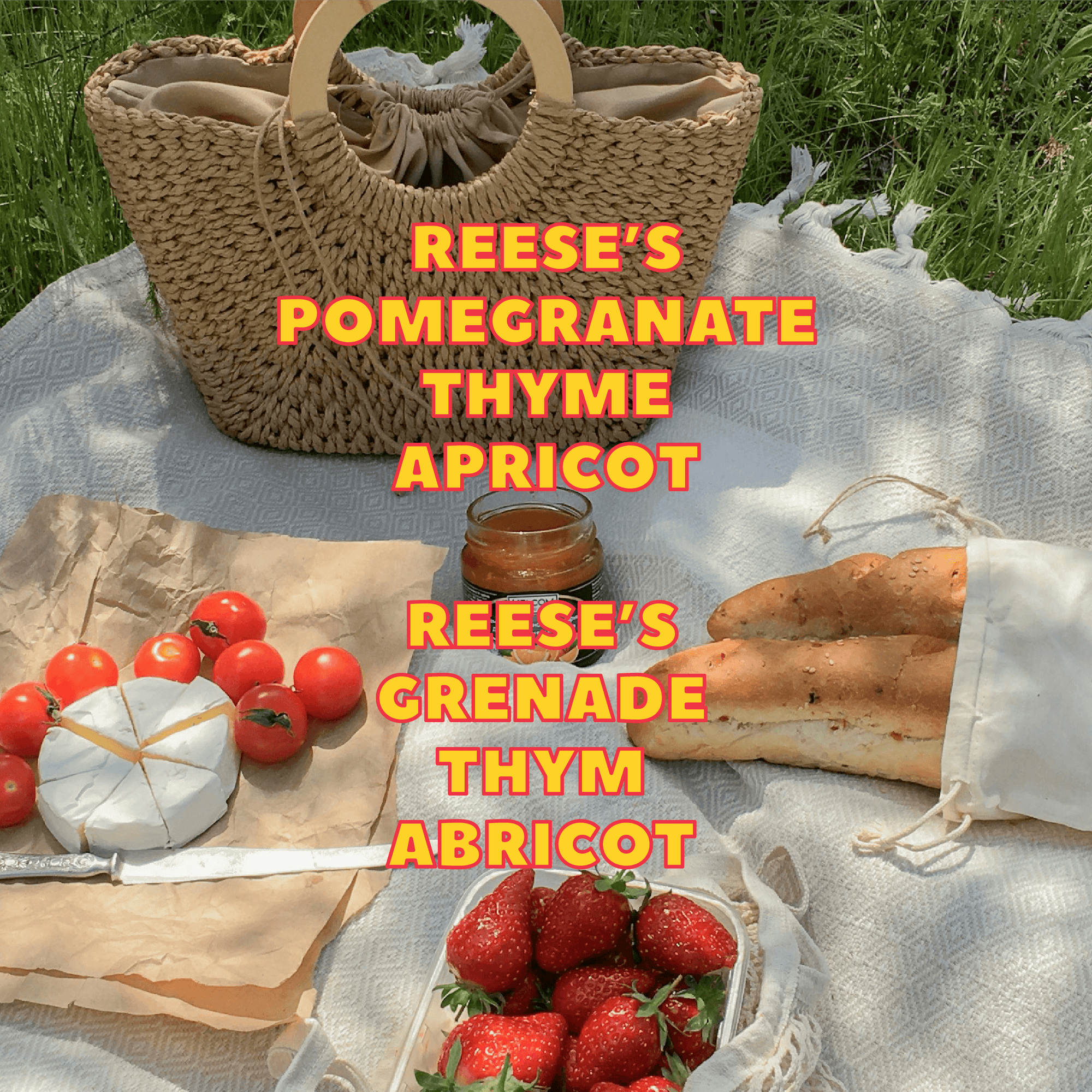 Marcelo Assis Nogueira