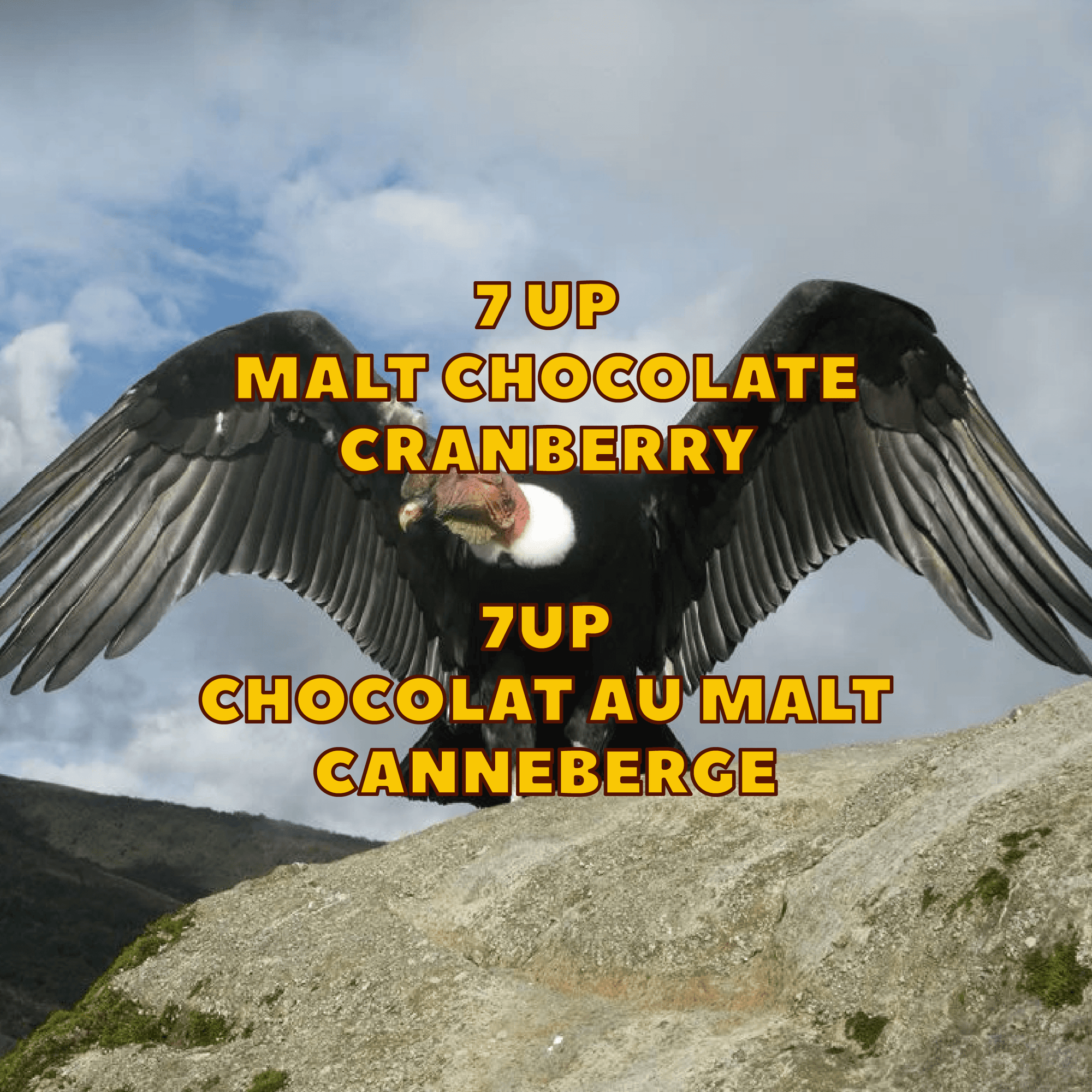 SOLARIS ☀️ Peru Natural